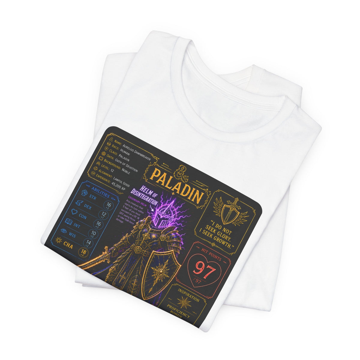 Level 12 Paladin Build T-Shirt