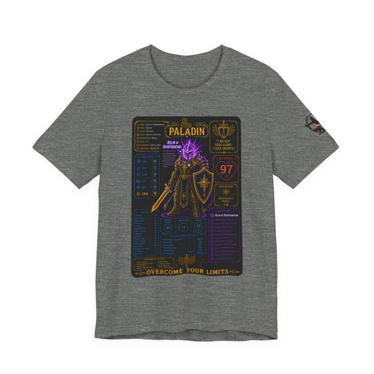 Level 12 Paladin Build T-Shirt