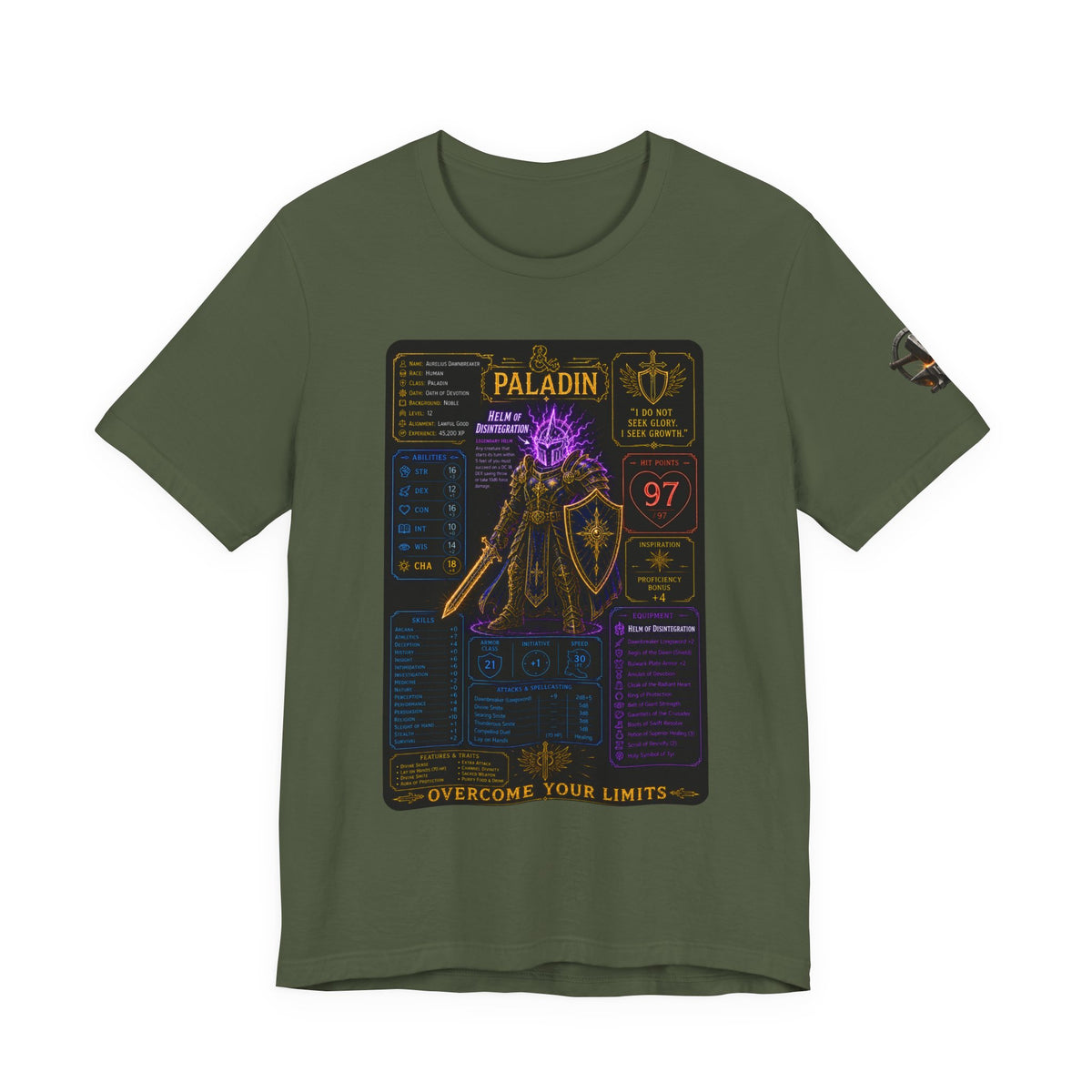 Level 12 Paladin Build T-Shirt