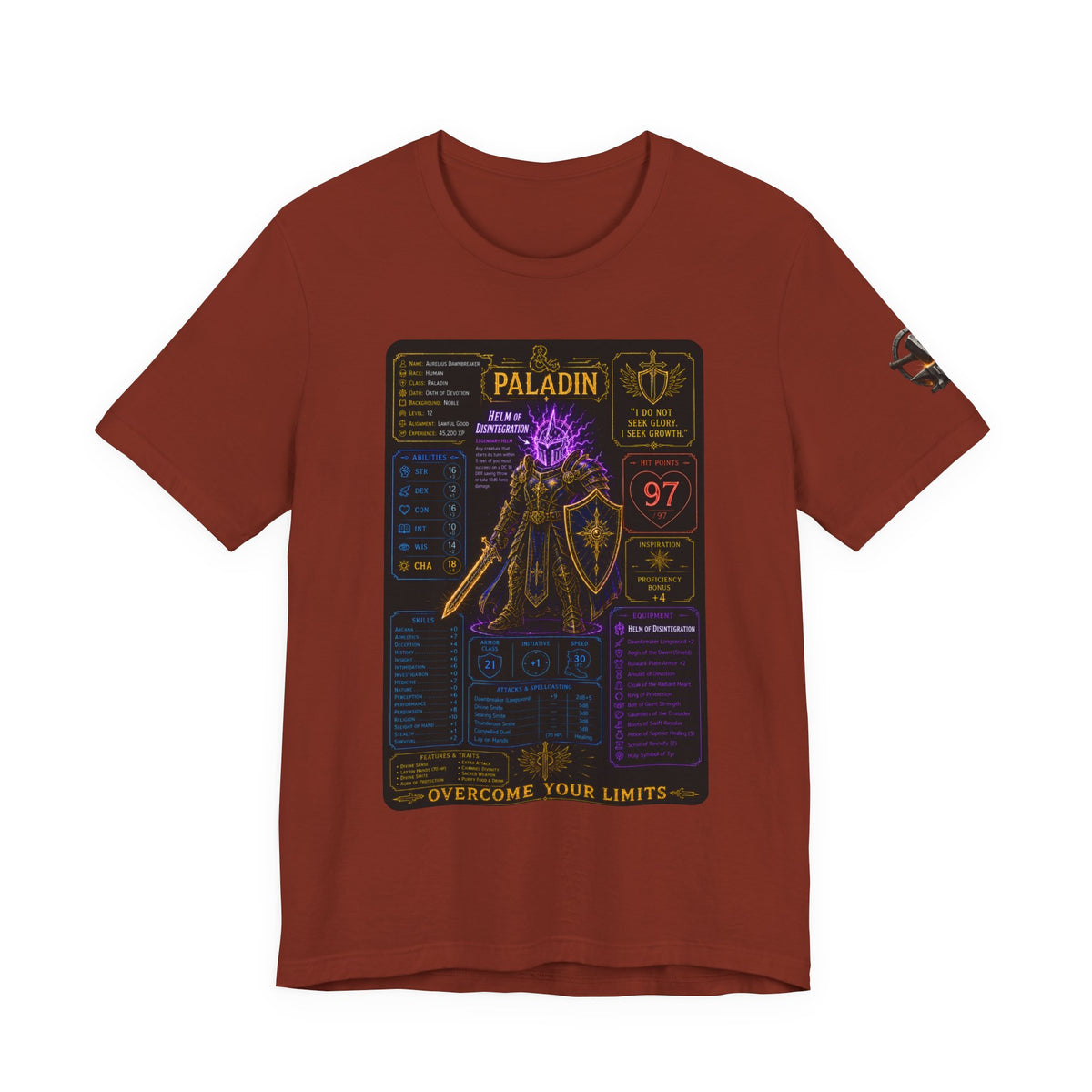 Level 12 Paladin Build T-Shirt