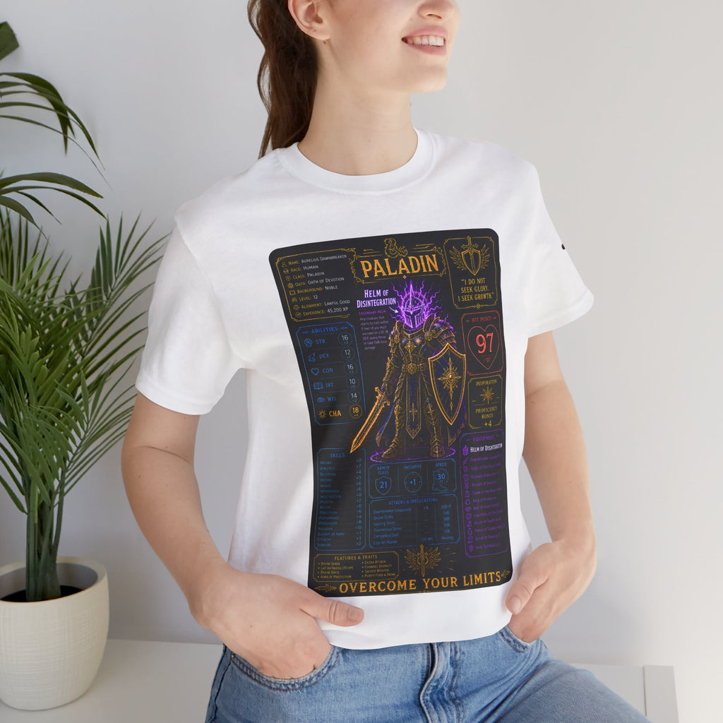 Level 12 Paladin Build T-Shirt