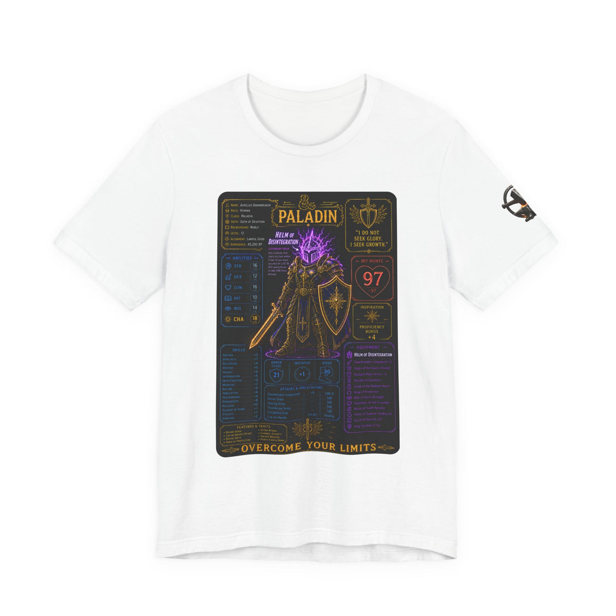 Level 12 Paladin Build T-Shirt