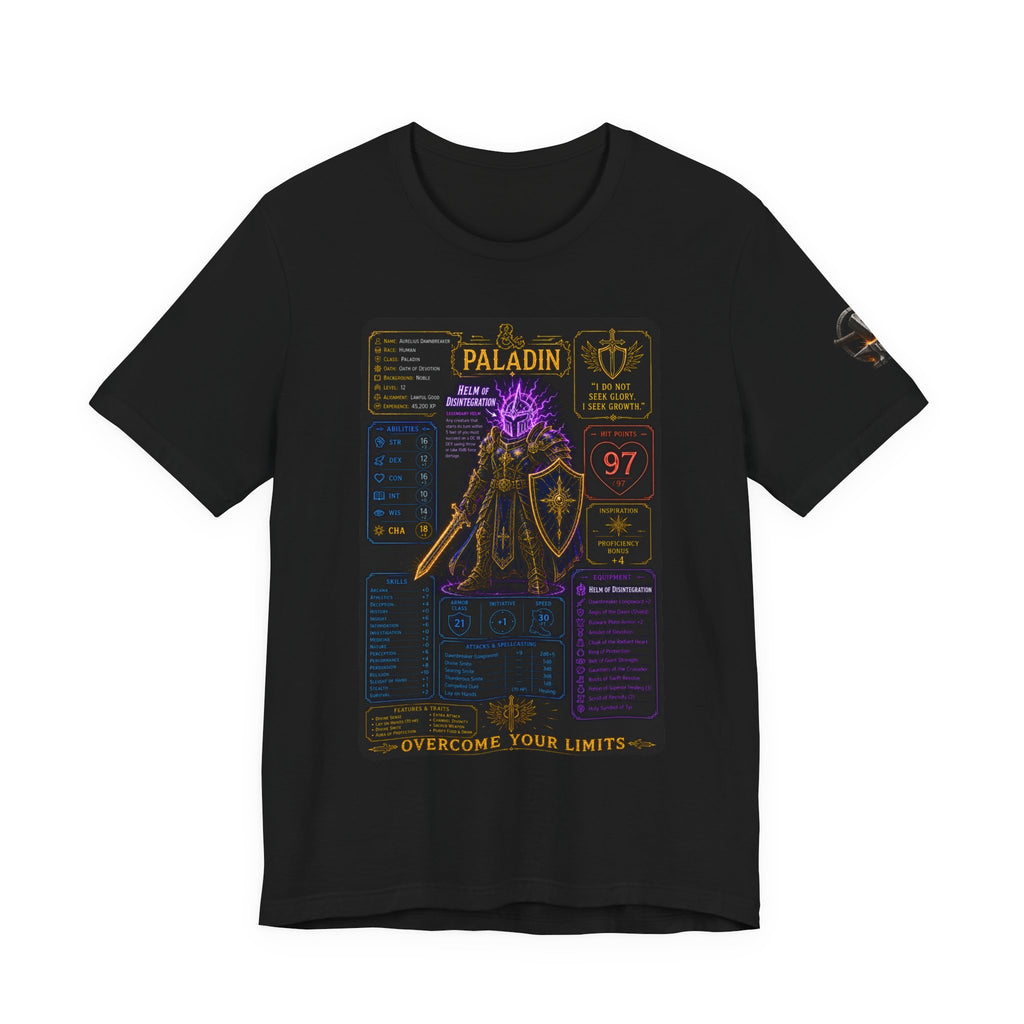 Level 12 Paladin Build T-Shirt