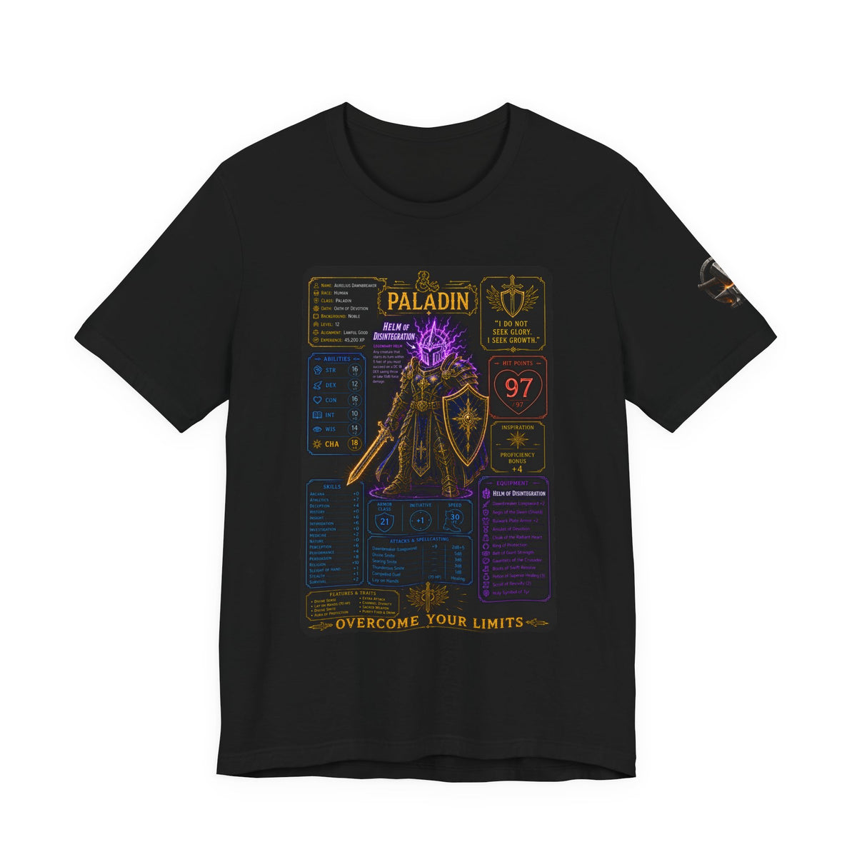 Level 12 Paladin Build T-Shirt